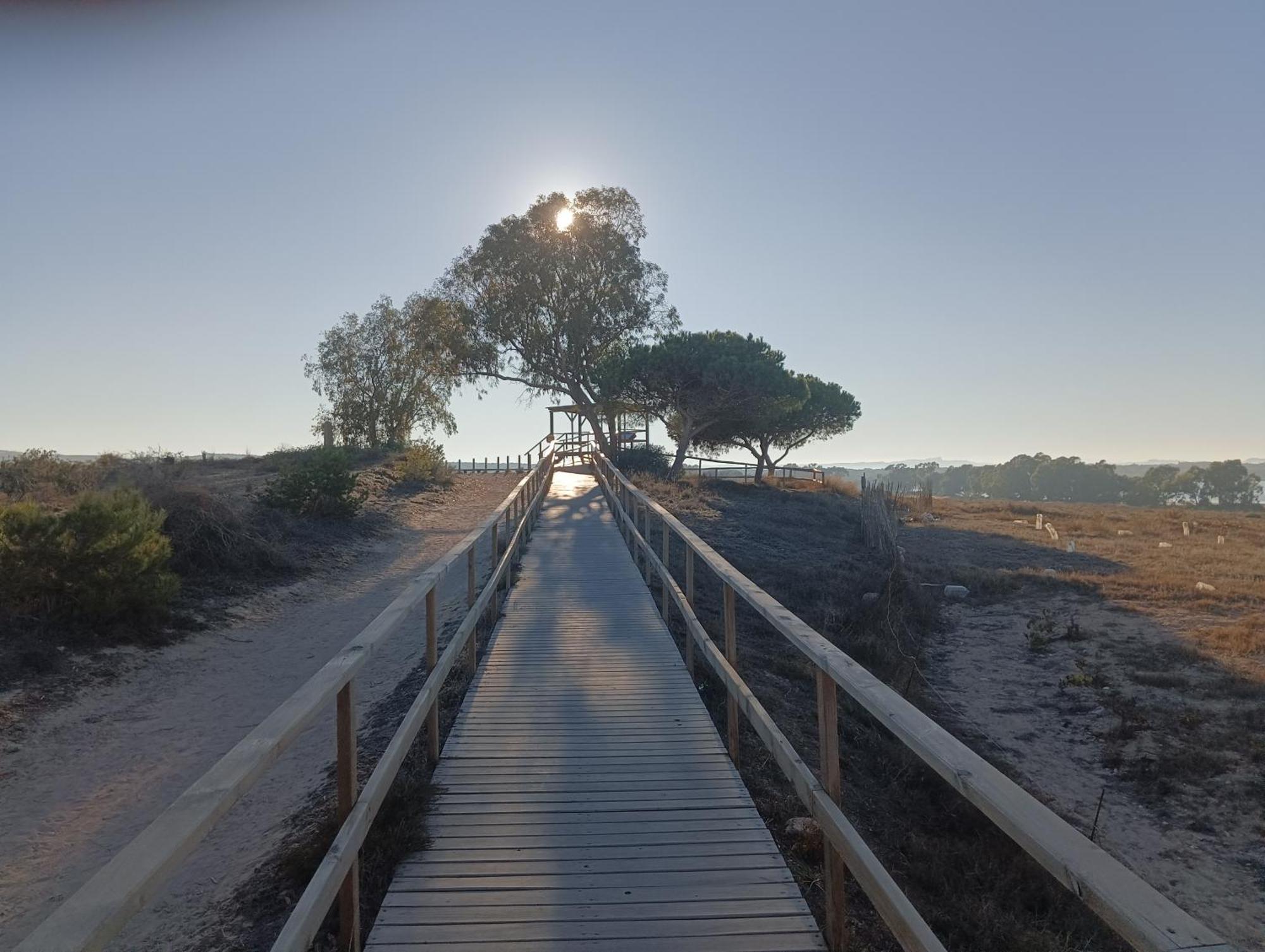 Bonito Apartamento 150 M De La Playa La Mata ラ・マタ エクステリア 写真