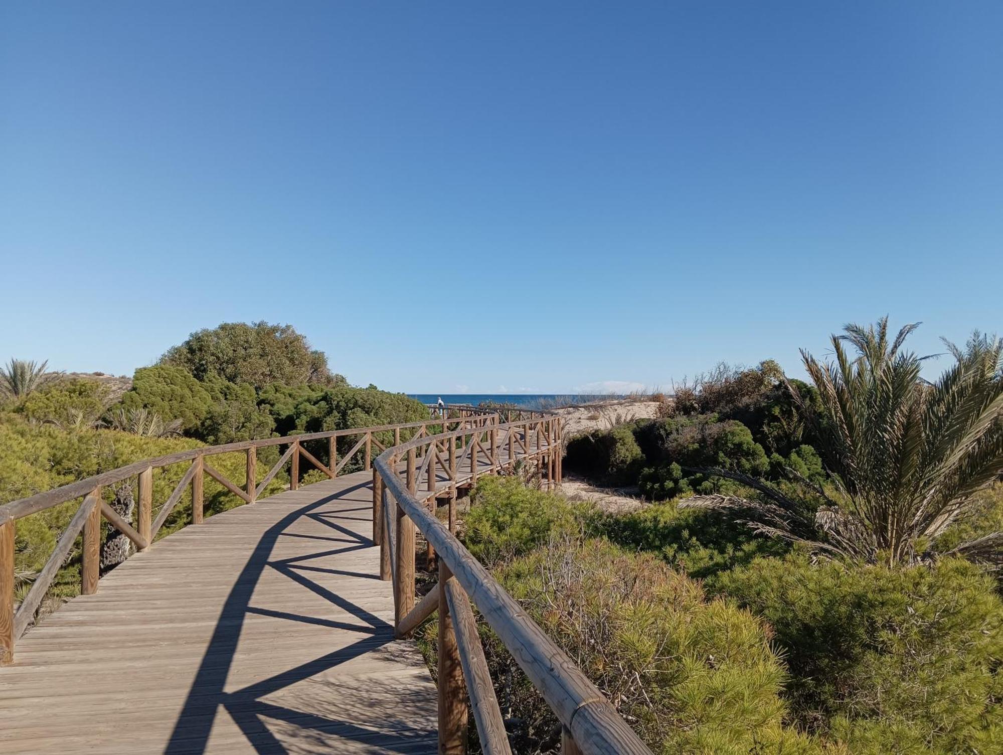 Bonito Apartamento 150 M De La Playa La Mata ラ・マタ エクステリア 写真