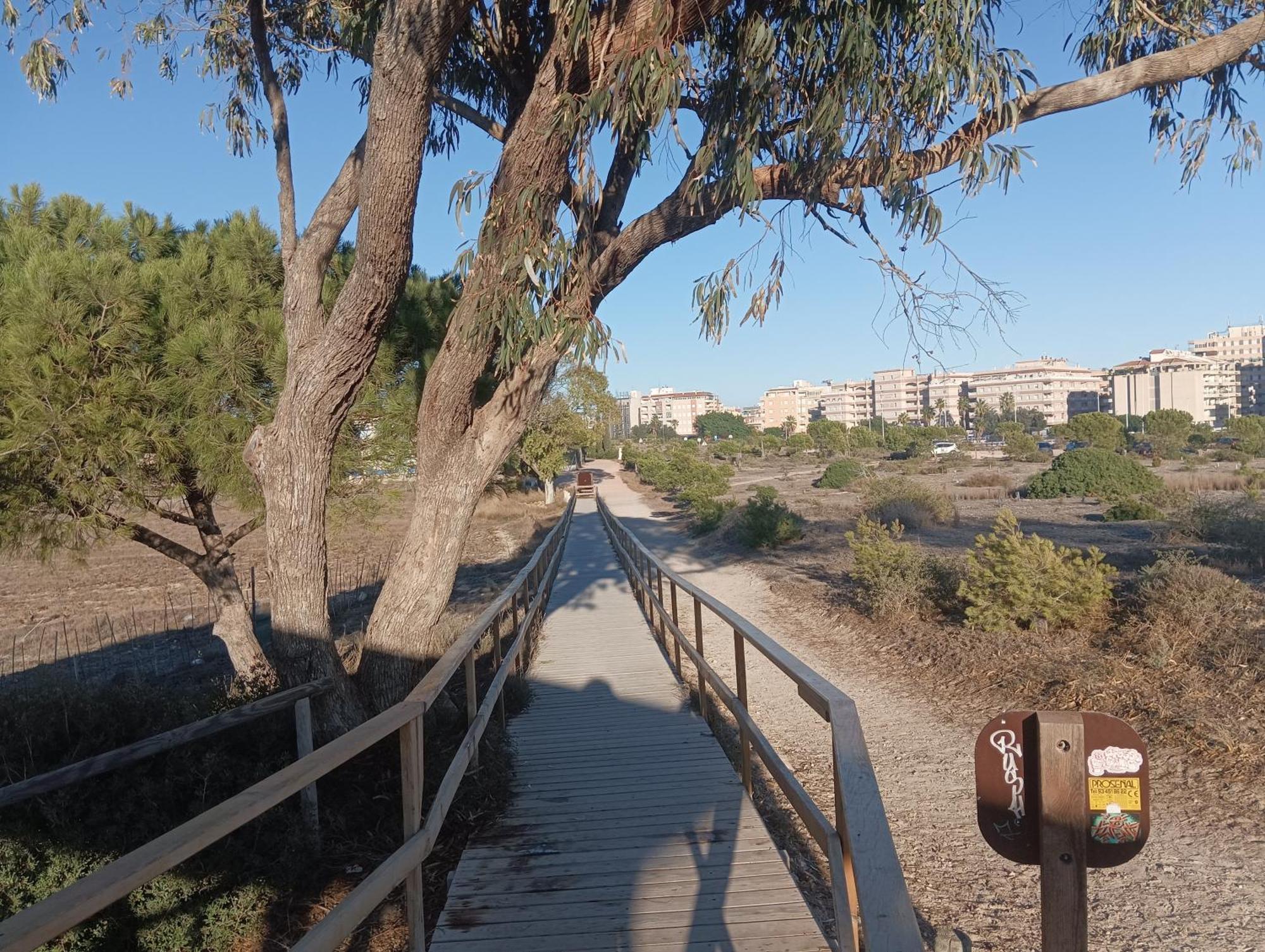 Bonito Apartamento 150 M De La Playa La Mata ラ・マタ エクステリア 写真