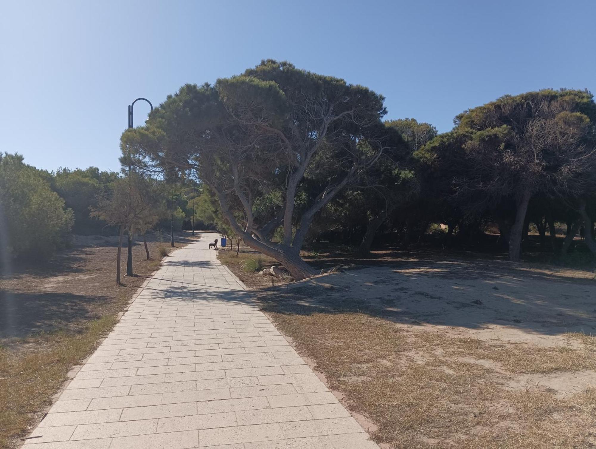 Bonito Apartamento 150 M De La Playa La Mata ラ・マタ エクステリア 写真