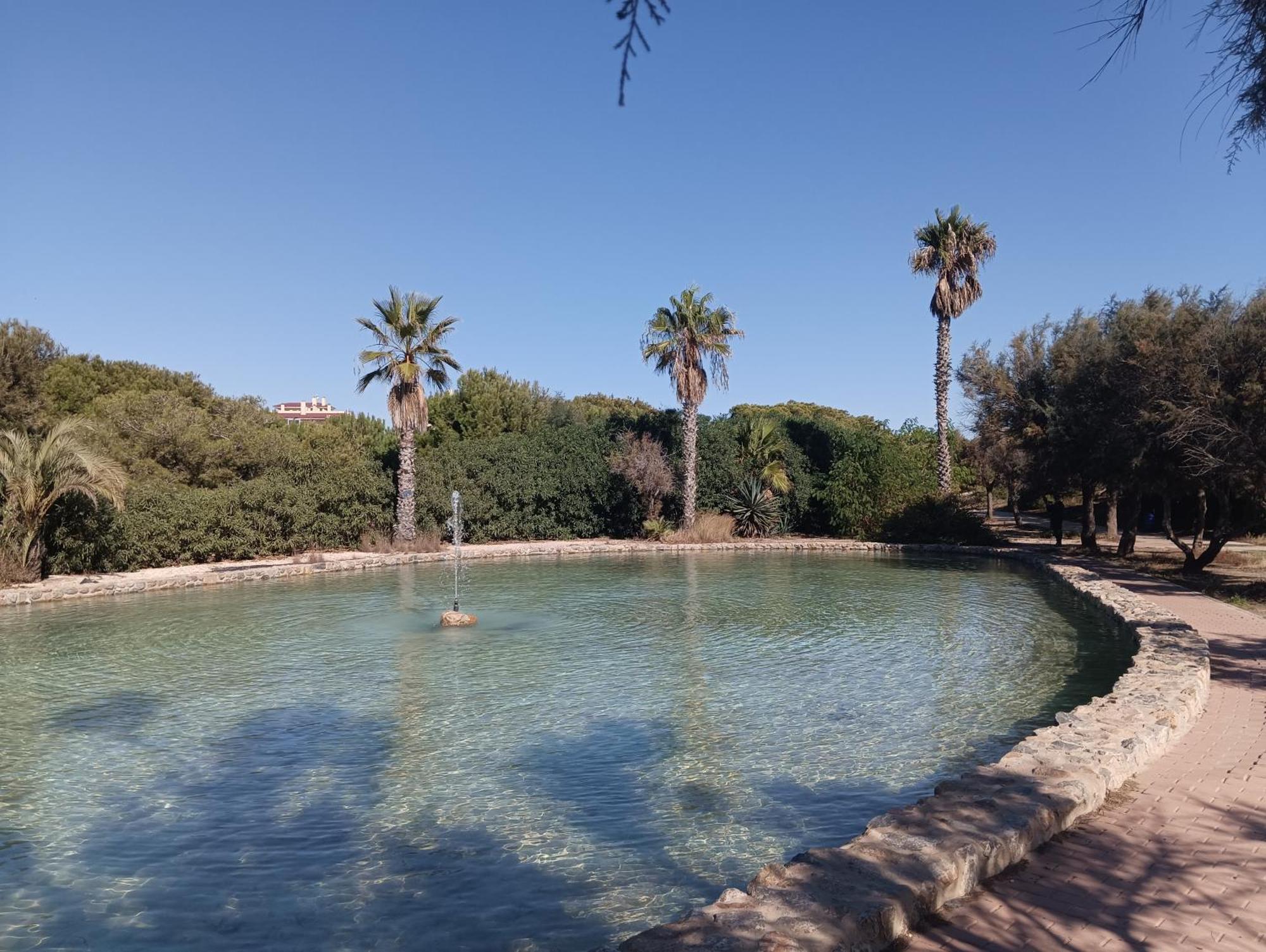 Bonito Apartamento 150 M De La Playa La Mata ラ・マタ エクステリア 写真