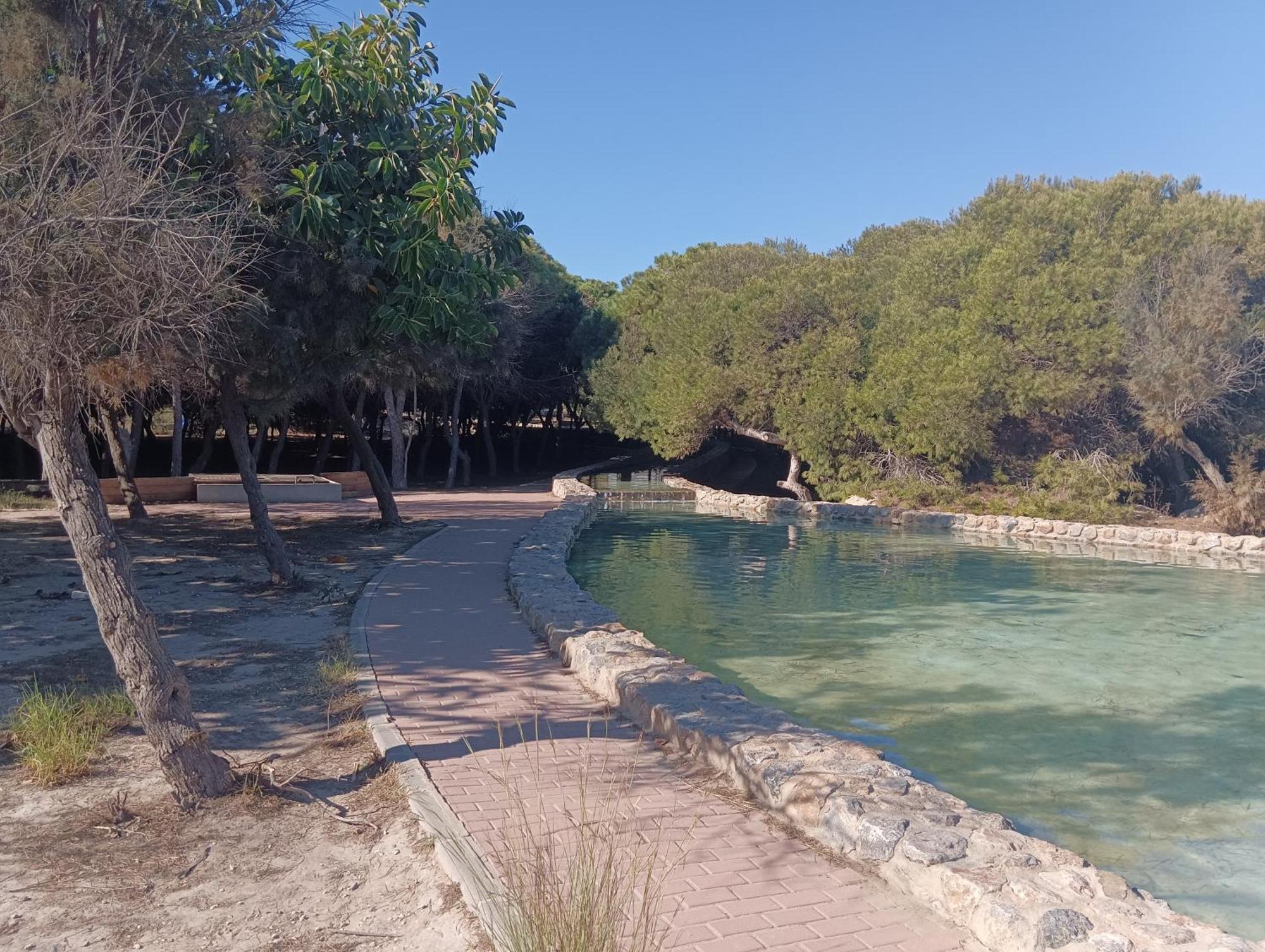 Bonito Apartamento 150 M De La Playa La Mata ラ・マタ エクステリア 写真
